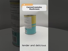 La materia prima natural fresca conservó la seta de la granja de las legumbres de frutas 425g