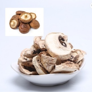 bulto seco japonés del bolso del cultivo de la seta de Shiitake de 10x10m m Brown
