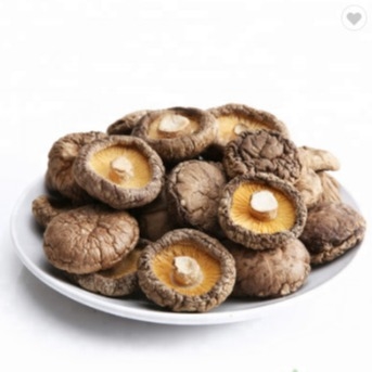 De Shiitake de vida útil de la seta 1kg 2 años superficiales lisos secos sanos