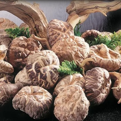 De Shiitake de vida útil de la seta 1kg 2 años superficiales lisos secos sanos