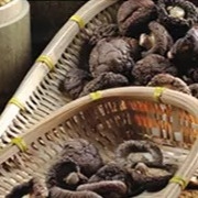 De Shiitake de vida útil de la seta 1kg 2 años superficiales lisos secos sanos
