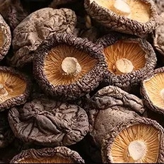 De Shiitake de vida útil de la seta 1kg 2 años superficiales lisos secos sanos