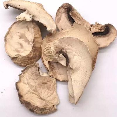 bulto seco japonés del bolso del cultivo de la seta de Shiitake de 10x10m m Brown