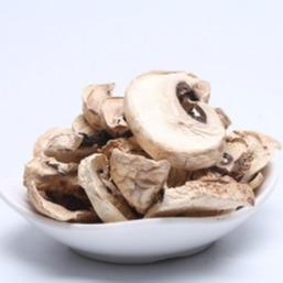 bulto seco japonés del bolso del cultivo de la seta de Shiitake de 10x10m m Brown