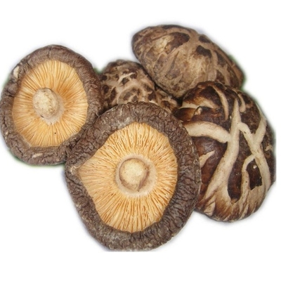 Japonés seco de la seta de Shiitake de HACCP 1kg 3kg con buen gusto