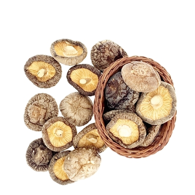 Japonés seco de la seta de Shiitake de HACCP 1kg 3kg con buen gusto