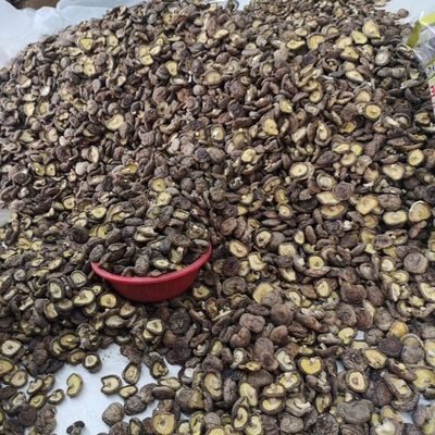 La seta de Shiitake seca a granel natural secó las setas de Shiitake orgánicas