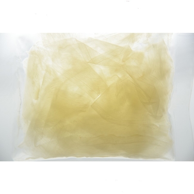 HACCP 10g cortado para llevar conservó en vinagre el sushi Ginger In Sweet Vinegar